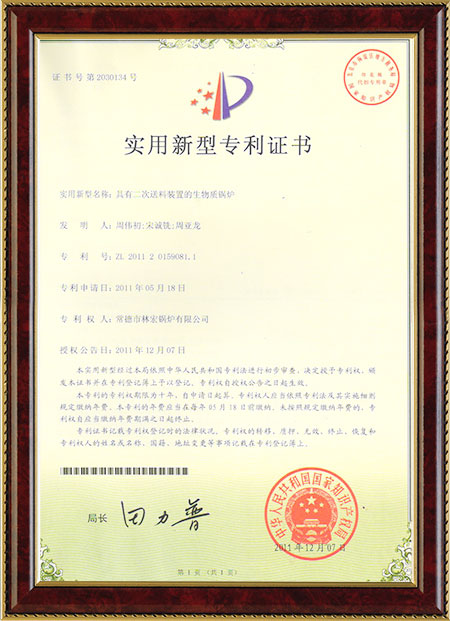 具有二次送料裝置的生物質(zhì)鍋爐 具有二次送料裝置的生物質(zhì)鍋爐